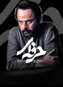 دانلود سریال حرفه ای قسمت ششم 6 کامل
