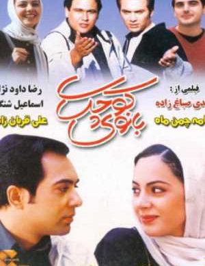 فیلم ایرانی بانوی کوچک