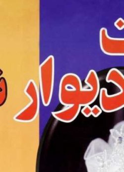 پشت دیوار شب