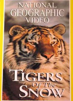 دانلود فیلم ببرهای برفی