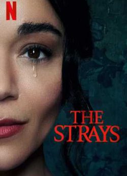 The Strays 2023