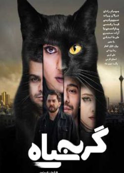 دانلود فیلم ایرانی گربه سیاه
