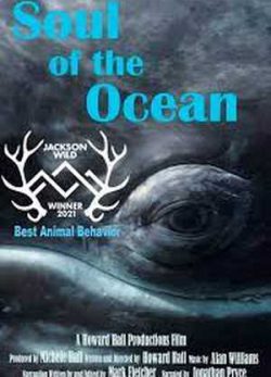 Soul of the Ocean 2022
