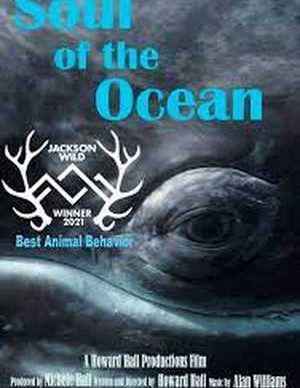 Soul of the Ocean 2022