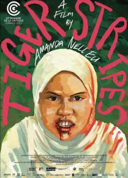 دانلود فیلم نوارهای ببر