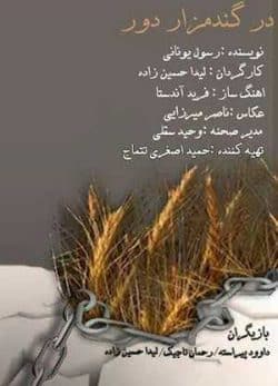در گندم زار دور