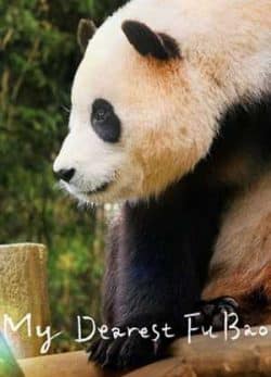 دانلود فیلم عزیزترینم فو با