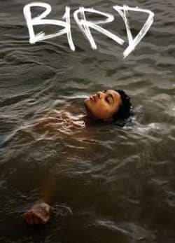 فیلم پرنده