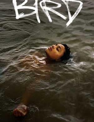 فیلم پرنده